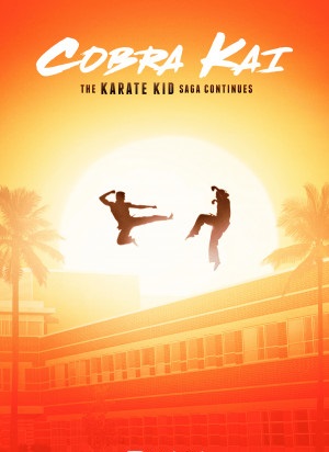 Cobra Kai (2018) Season 1 Dual Audio [Hindi ORG – English] 720p HEVC HDRip [EP 1 to 10]