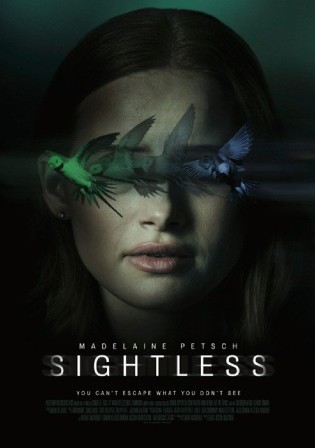 Sightless (2021) 720p | 480p HDRip Dual Audio [Hindi – English] 950MB – 350MB