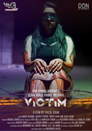 Victim (2021) Hindi Full Movie 720p