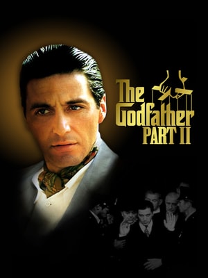 The Godfather 2 720p BluRay Dual Audio