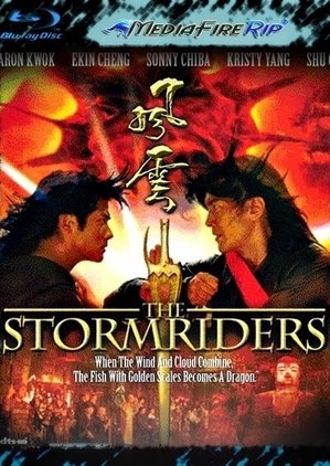 The Storm Riders Dual Audio