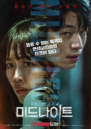 Hard Hit (2021) 480p WEB-HDRip Dual Audio [Hindi ORG – Korean] 300MB